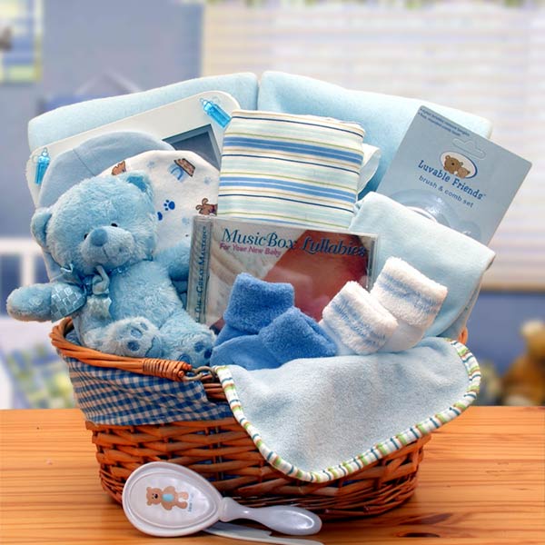 Simply The Baby Basics New Baby Gift Basket- Blue-  baby boy gift