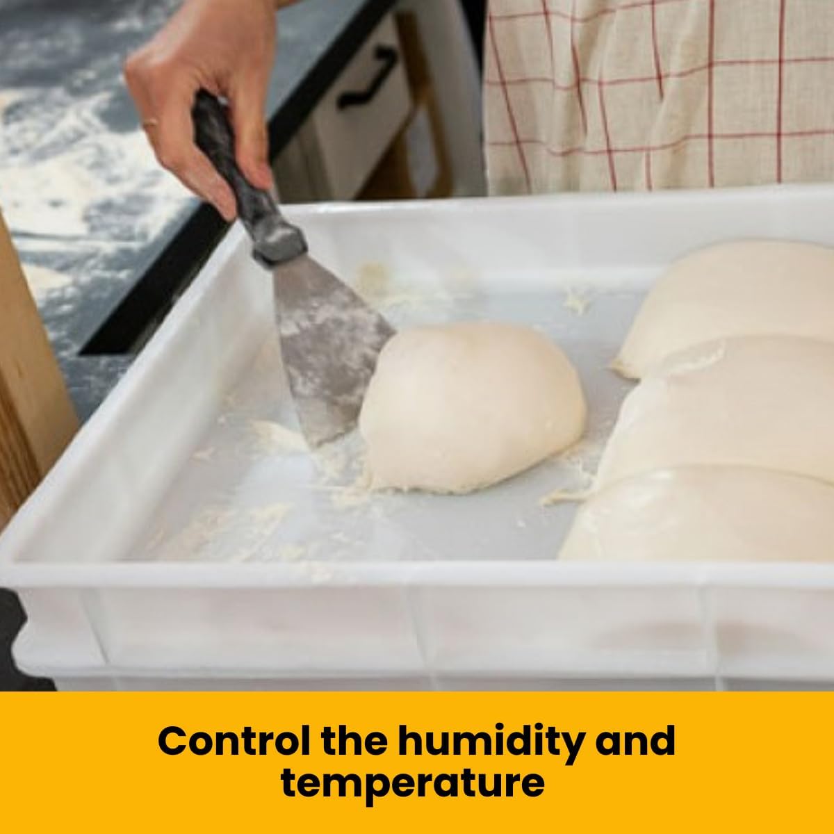 L'Oro Del Sud, Dough Proofing Box (2 Pack + Lid), White