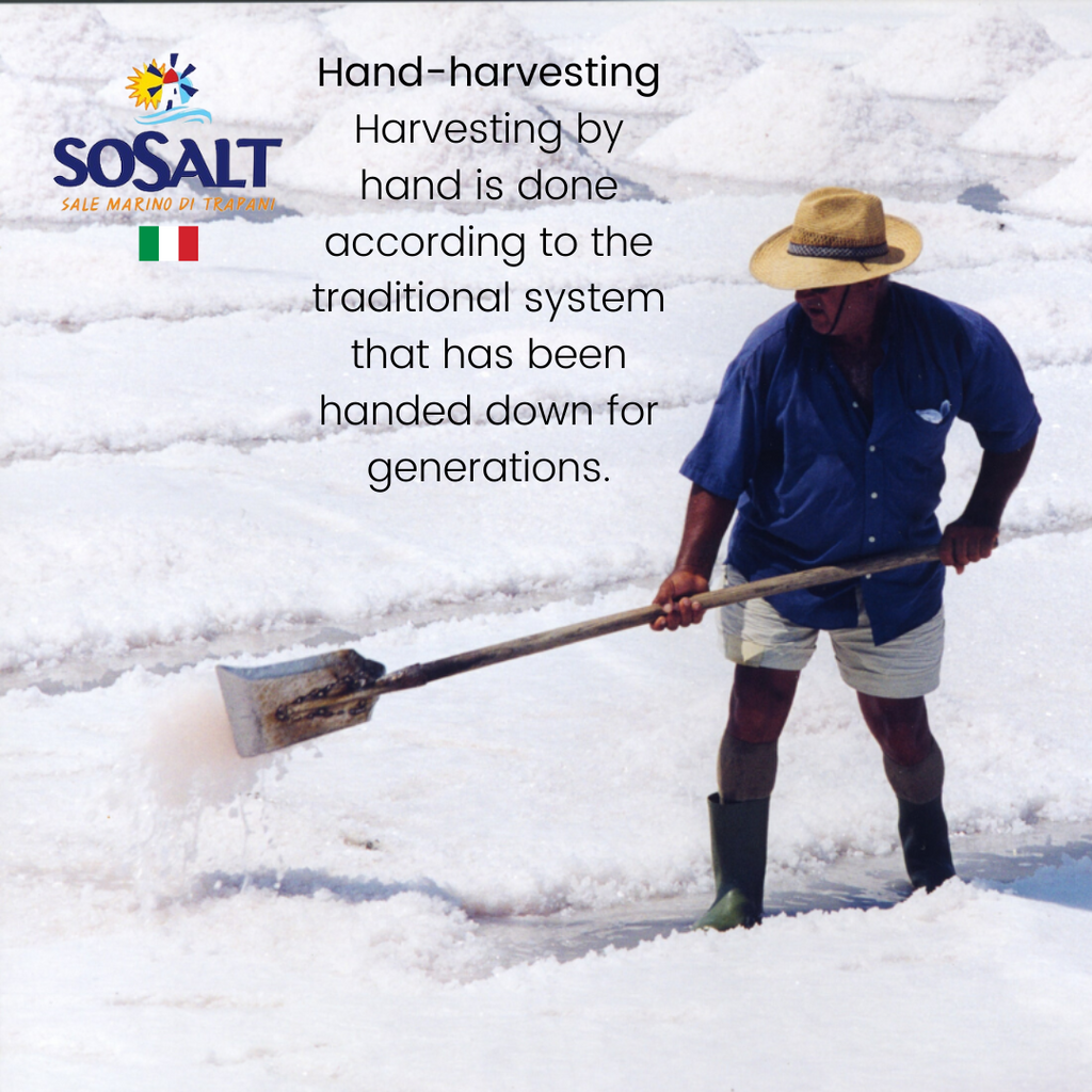 SoSalt, 12 pack x 1 kg Fine Natural Sea Salt, (35.3 oz)