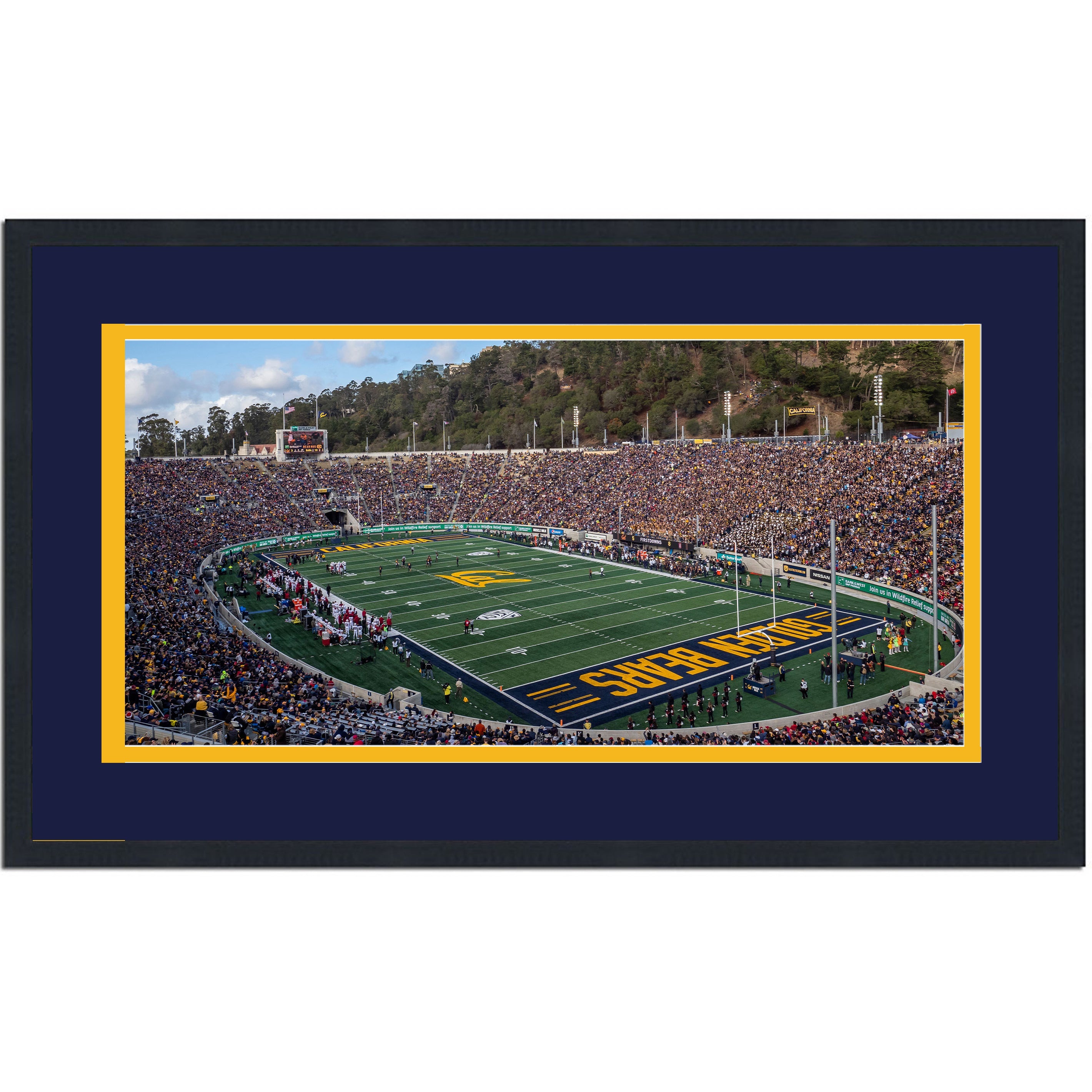 Framed California Memorial Stadium California Golden Bears 16x24 NCAA Football Photo Professionally Matted