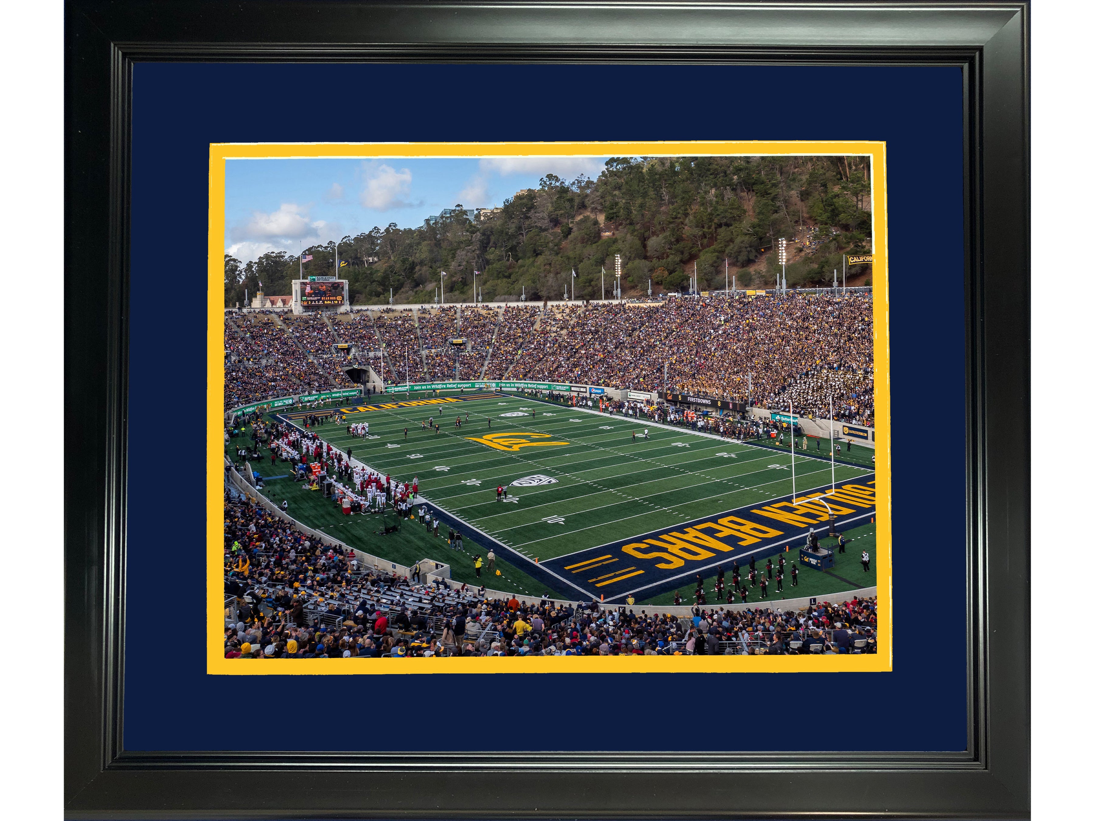 Framed California Memorial Stadium California Golden Bears 11"x14" NCAA Football Photo Professionally Matted