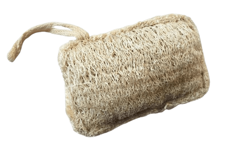 Natural Loofah Sponge
